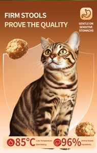 Fabricación OEM de comida seca completa para gatos, fórmula de carne de conejo fresca horneada a baja temperatura, seguridad, golosinas para gatos saludables, bocadillos - Product Image 2