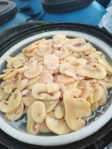 Fabrika doğrudan satış 2024 yeni üretim namlulu turşu mantar dilimleri 50kg - Product Image 3