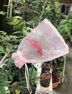 Promotional <b>Gift</b> 100pcs Organza Bags Mixed Color Drawstring Mesh Jewelry Pouches Sheer Mesh <b>Wrap</b> for Trade Show Sample Display - Product Image 6