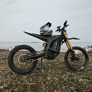 Motocicleta Eléctrica Arctic Leopard Clouded Leopard XE PRO S Gold Fork 74V 60Ah 20kw de Alta Velocidad 100Km/h, Motocross - Product Image 5