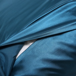 Prix d'usine, faible MOQ, taie d'oreiller en satin uni 100% polyester de haute qualité avec fermeture à rabat pour usage domestique et hôtelier - Product Image 4
