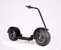 Scooter Eléctrico Chopper 2026 con Llantas Anchas, Citycoco, de un Solo Asiento, Scooter Eléctrico de Moda, Scooter Chopper, Batería de 3000w 60v30ah