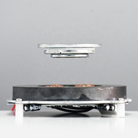 Module de lévitation magnétique de 150 g, système de suspension personnalisé DIY, technologie de lévitation DIY, affichage et décoration