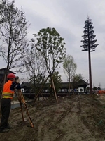 Poteau de communication camouflé en forme d'arbre bionique pour la couverture télécom