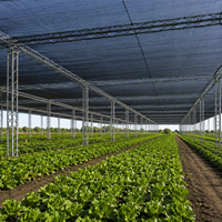 Filet d'ombrage noir en HDPE tricoté, stabilisé aux UV, taux d'ombrage 50%-95%, maille robuste pour serres et fermes maraîchères