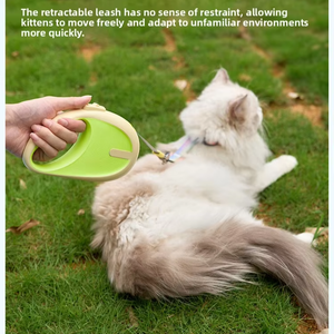 공장 최고 판매자 사용자 정의 로고 <span class=keywords><strong>Led</strong></span> 빛 애완 동물 개 가죽 끈 나일론 애완 동물 액세서리 자동 <span class=keywords><strong>Led</strong></span> 개폐식 개 가죽 끈 도매 - Product Image 2