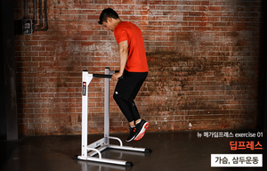 ZYFIT gym <span class=keywords><strong>gymnastique</strong></span> Fitness entraînement M <span class=keywords><strong>porte</strong></span> <span class=keywords><strong>barre</strong></span> de traction Double pôle dip stand équipement de Fitness - Product Image 4