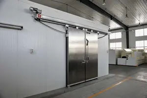 Fire proof Insulated PU Foam Sandwich Panel Stainless Steel Electric Double-opening Cold Storage Room Sliding Doors