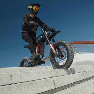 Motocicleta Eléctrica Todoterreno HEZZO D5 PRO, 400-600cc, 60V, 3000W, 61-80km/h, Resistente al Agua, Batería de Litio Potente, Hecha en China, Stock en la UE/EE. UU. - Product Image 2