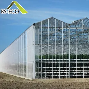 2023 new model Wind resistant one stop glass green house