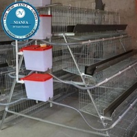 Cage à poulets de chair à prix d'usine, cage en treillis soudé pour l'élevage de cailles et de poulets, directement de l'usine de Guangzhou