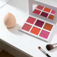 Palette de fard à joues DIY très vendue, longue tenue, haute pigmentation, maquillage visage et joues, 6 couleurs, poudre de haute qualité, waterproof, stick quotidien