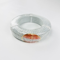 Reiner Nickel Mika Glasfaser geflochtener 600 Grad hochtemperaturdraht feuerbeständiges Kabel