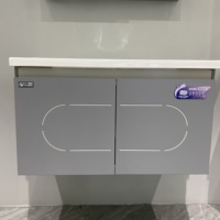 WJL Nouveau design moderne, miroir éclairé, lavabo mural en céramique en acier inoxydable, meuble-lavabo gris pour salle de bain