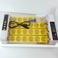 Prix d'usine HHD, nouveau mini incubateur pour 24 poussins avec lumières LED, incubateur entièrement automatique pour usage domestique