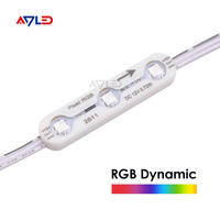Module d'affichage LED numérique RGBIC WS2811 étanche IP68 pour extérieur, lumière à pixels 5050, éclairage DC12V, garantie 5 ans, CE/ROHS