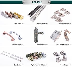 Bán Buôn Spider Đồ Nội Thất Phần Cứng 0.8*0.8Mm Sắt Trượt Đường Ray <span class=keywords><strong>17Mm</strong></span> Bóng Mang Ngăn Kéo <span class=keywords><strong>Slide</strong></span> Cho Phòng Ngủ, Ngoài Trời Và Nhà Bếp - Product Image 6