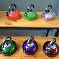 Bouilloire en acier inoxydable pour la maison, la cuisine, le café, le restaurant, la théière, la bouilloire à sifflet pour eau chaude - Vente en gros