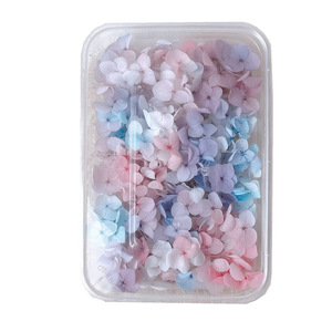 Flores Secas Preservadas para Boda, Hortensia <span class=keywords><strong>Annabelle</strong></span> - Product Image 6
