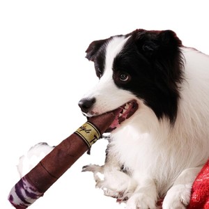 Juguete de Peluche para Perros con Forma de Cigarro, Color Marrón Oscuro, con Sonido, para Interiores - Product Image 5