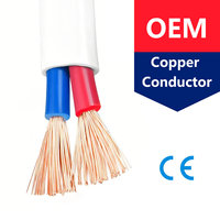 Cable Plano de Cobre de 2 Núcleos, 2X4, 2X6, 2X1, 2X2.5, 1.5mm, 2.5, 4 mm², Cable Flexible de Cobre Aislado con Revestimiento de PVC RVVB, Venta al Por Mayor
