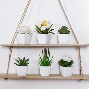 <span class=keywords><strong>Mini</strong></span>-ornements artificiels en plastique vert HY-66, plantes succulentes pour la maison, le bureau, le comptoir, bonsaï, 6 pièces/ensemble, décoration - Product Image 6