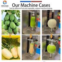 Fengxiang Commerciële Fruit Schilmachine RVS Pompoen Meloen Papaya Schiller Mango Kokosnoot Ananas Schilmachine