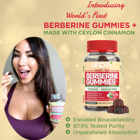 Gommes à la berbérine sans sucre avec cannelle de Ceylan 1200 mg soutient la fonction immunitaire pour les soins cardiovasculaires et gastro-intestinaux