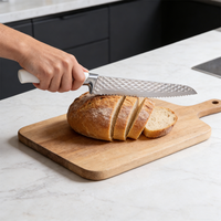 Ensemble de couteaux de cuisine de chef en acier inoxydable de haute qualité avec manche en plastique