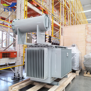 Transformador trifásico de poste para exteriores de 11KV 33KV 50KVA 100KVA 200KVA 300KVA, inmerso en aceite - Product Image 4