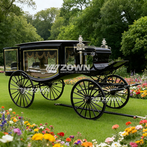 Vehículo Fúnebre Personalizado Resistente a la Corrosión con Múltiples Opciones de Modificación para Uso Global en Instituciones Funerarias - Product Image 4