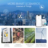 Pour MythEle API Tuya Wifi 2P 63A compteur d'énergie intelligent protection de tension disjoncteur MCB