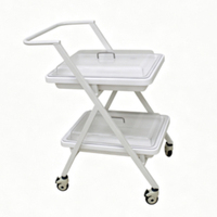 Véhicule de transport endoscopique double couche Medco de haute qualité, Classe I, garantie 1 an, couvercle métallique durable, fabriqué en Chine