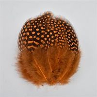 Teint naturel 50pc ploybag plume de guinée pour bricolage artisanat cheveux Costume accessoire de pêche mouche attachant ornement rêve frange décor