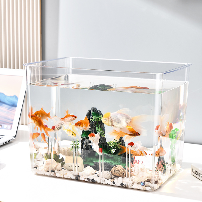 Transparent fish tank