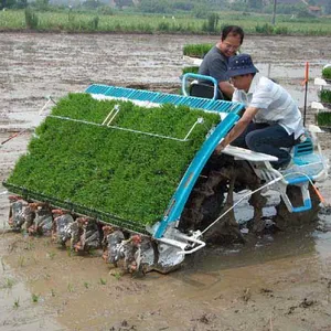 米プランター米種子機米播種機食品列肥料小麦シーダープランター販売