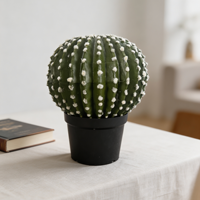 Décoration d'intérieur : Plantes artificielles écologiques en pot, cactus et plantes du désert en plastique, idéales pour la Fête des Mères - Offre Spéciale