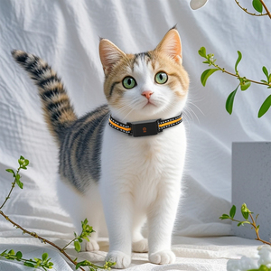 Système de clôture électrique sans fil 4G portable personnalisable pour chien avec <span class=keywords><strong>suivi</strong></span> GPS et collier en plastique étanche IP67 - Product Image 4