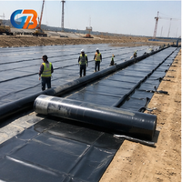 Bâche géomembrane HDPE noire lisse imperméable pour bassin à poissons, décharge, réservoir, barrage, canal et irrigation