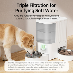 Comedero y Bebedero Automático <span class=keywords><strong>para</strong></span> Mascotas 2 en 1 con Control WiFi Inteligente, Temporizador, Gran Capacidad, OEM, ODM, Personalizado <span class=keywords><strong>para</strong></span> Perros y Gatos - Product Image 3