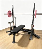 Combo Power Rack en Acier Inoxydable Durable, Station de Squat de Compétition avec Banc de Musculation pour Entraînement de Force Complet du Corps
