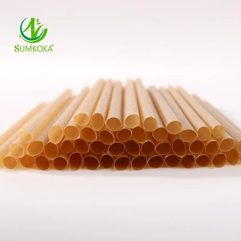 SUMKOKA Eco Friendly Biodegradable Compostable Sugarcane Bagasse Disposable Drinking Straw