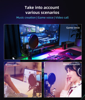 Microfono a Condensatore USB RGB SF-666R per Gaming - Cablato, con Cancellazione del Rumore, Leggero, per Uso Professionale e Didattico, Spedizione Rapida