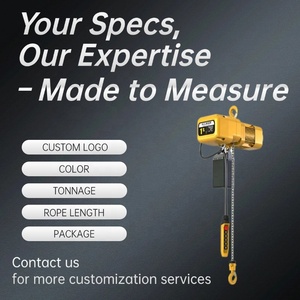 Polipasto Eléctrico de Cadena Motorizado Tipo ER de 5 Toneladas ALLMAN, Precio de Proveedor, para Logística de Almacén y Elevación de Cargas Pesadas - Product Image 3