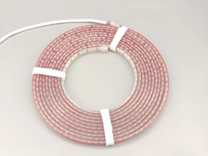 Avlu yüzme havuzu ev kullanımı için 24V IP68 su geçirmez açık hava <span class=keywords><strong>LED</strong></span> şerit ışıkları uzaktan kumanda düşük voltajlı silikon <span class=keywords><strong>LED</strong></span>