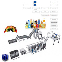 Turnkey-oplossing volautomatische industriële fruitwas- en pulp-extractiemachine / mango-ananas verwerkingslijn