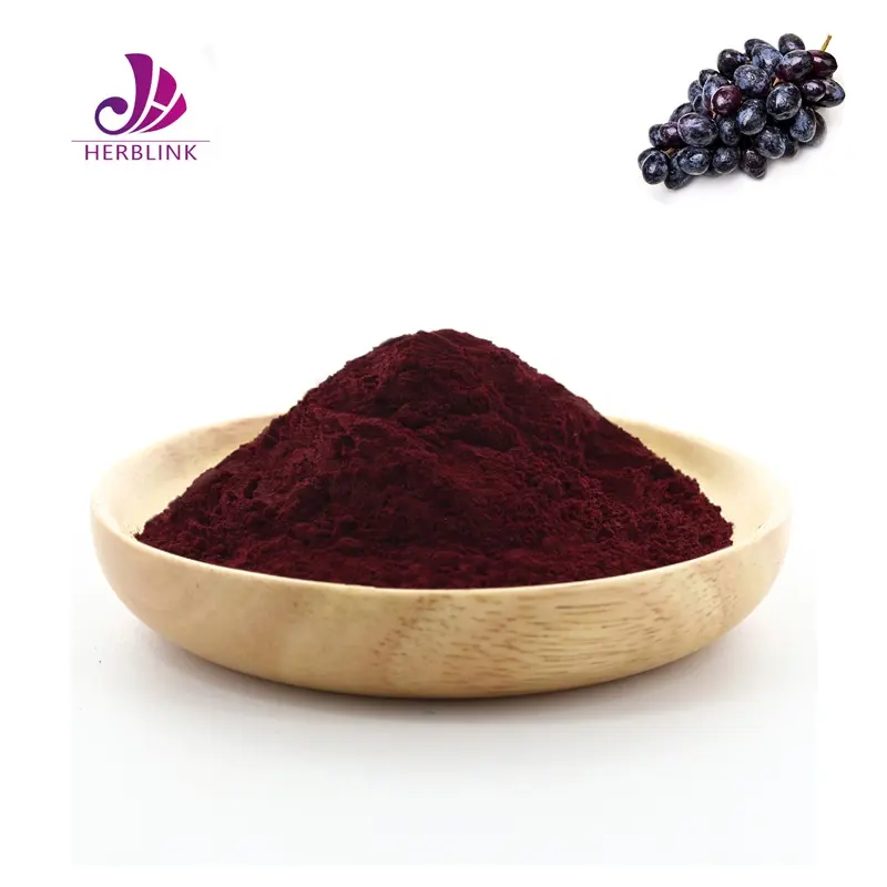 Improve Immunity Free Sample Black Currant Extract/Black Currant Powder