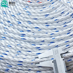 Corde en plastique solide PP PE Danline torsadée à 3 brins, mélange mono-filament polypropylène <span class=keywords><strong>polyamide</strong></span> <span class=keywords><strong>polyester</strong></span>, pour aquaculture, vente en gros - Product Image 2