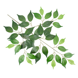 Hojas artificiales de tela de seda, hojas de baniano de imitación, hojas artificiales verdes para jardín - Product Image 3