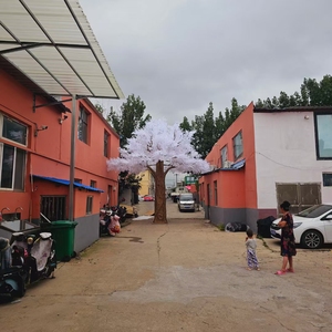 Arbre artificiel bonsaï artisanal en fleurs de <span class=keywords><strong>cerisier</strong></span> <span class=keywords><strong>japonais</strong></span> Sakura, vente en gros d'usine SPR - Fête des pères, Halloween - Product Image 2